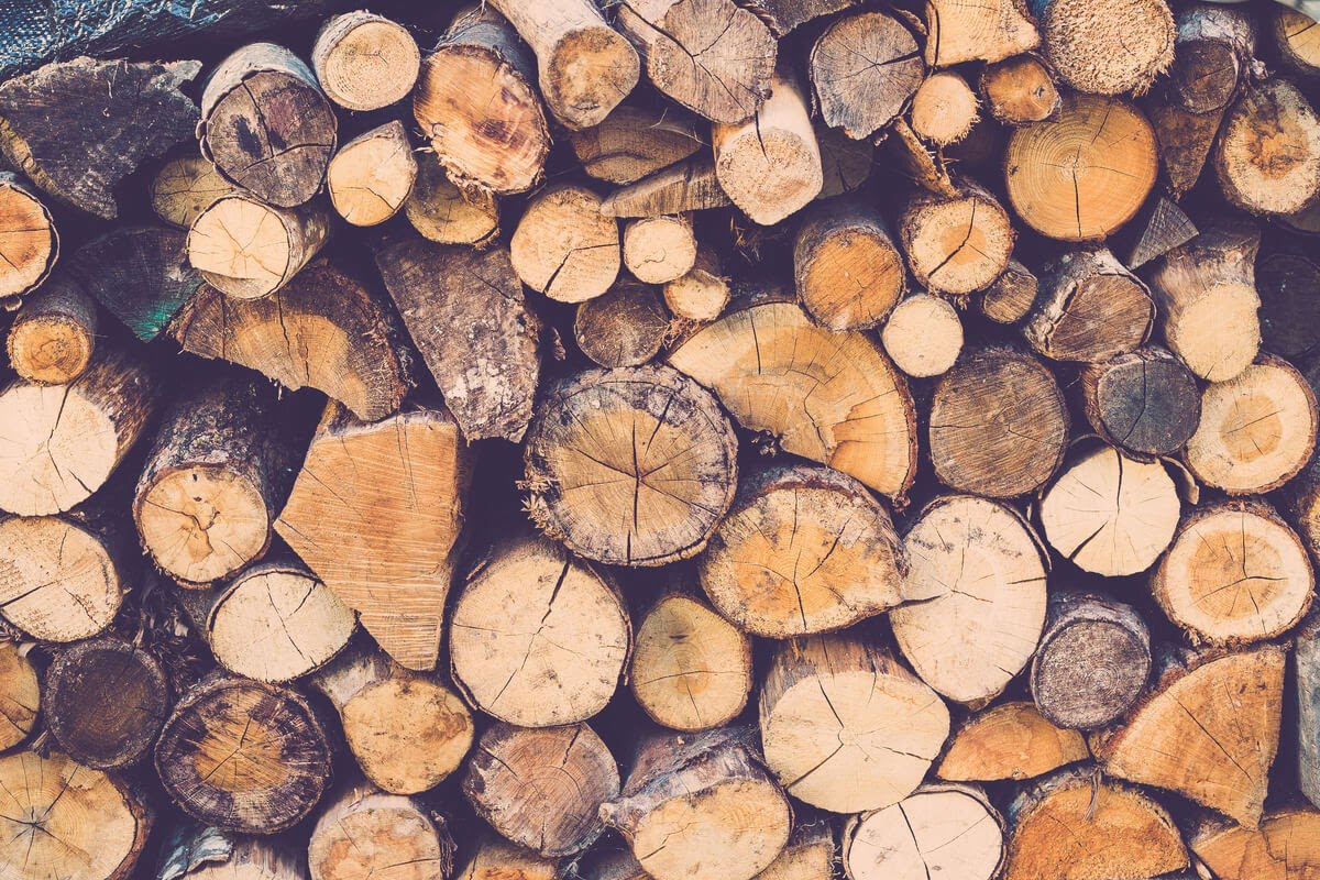Puterea calorica a lemnului - GHID complet pentru incalzirea ...
